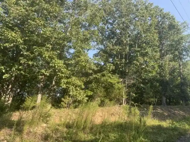Photo 2 of Land for sale at Tract 2 Belew Holw Hl Rd, Waynesboro, TN 38485 | MLS# 10227523 | Listing updated on 2026-08-18