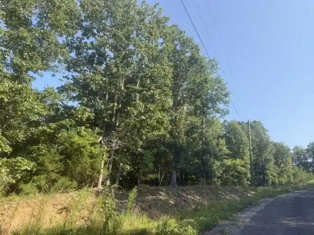 Photo 3 of Land for sale at Tract 2 Belew Holw Hl Rd, Waynesboro, TN 38485 | MLS# 10227523 | Listing updated on 2026-08-18