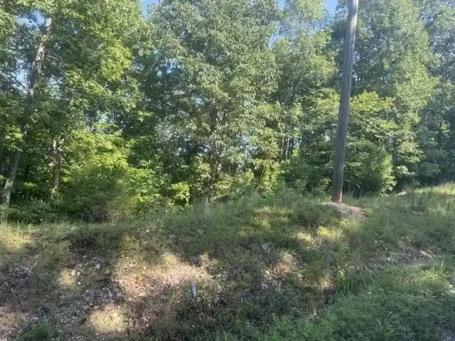 Photo 3 of Land for sale at Tract 2 Belew Holw Hl Rd, Waynesboro, TN 38485 | MLS# 10227523 | Listing updated on 2026-08-18