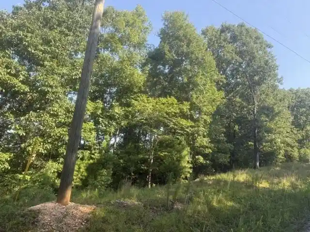 Photo 4 of Land for sale at Tract 2 Belew Holw Hl Rd, Waynesboro, TN 38485 | MLS# 10227523 | Listing updated on 2026-08-18