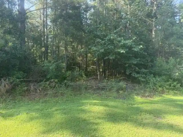 Photo 2 of Land for sale at Tract 3 Carroll Holw Rd, Waynesboro, TN 38485 | MLS# 10227527 | Listing updated on 2026-08-18