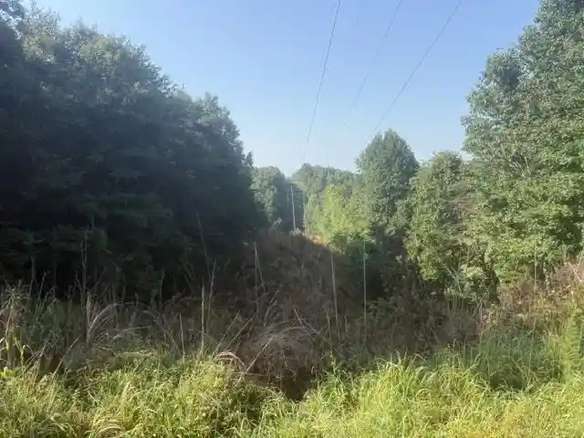 Photo 3 of Land for sale at Tract 3 Carroll Holw Rd, Waynesboro, TN 38485 | MLS# 10227527 | Listing updated on 2026-08-18