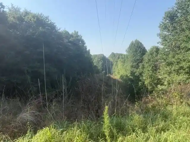Photo 3 of Land for sale at Tract 3 Carroll Holw Rd, Waynesboro, TN 38485 | MLS# 10227527 | Listing updated on 2026-08-18