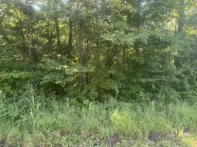 Photo 4 of Land for sale at Tract 3 Carroll Holw Rd, Waynesboro, TN 38485 | MLS# 10227527 | Listing updated on 2026-08-18