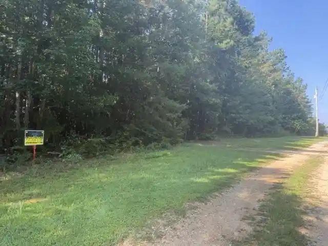 Photo 1 of Land for sale at Tract 4 Carroll Holw Rd, Waynesboro, TN 38485 | MLS# 10227529 | Listing updated on 2026-08-18
