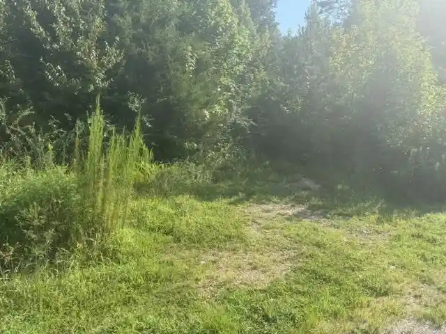 Photo 4 of Land for sale at Tract 4 Carroll Holw Rd, Waynesboro, TN 38485 | MLS# 10227529 | Listing updated on 2026-08-18