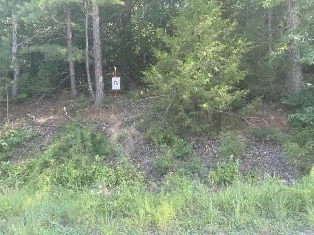 Photo 1 of Land for sale at Tract 5 Carroll Holw Rd, Waynesboro, TN 38485 | MLS# 10227530 | Listing updated on 2026-08-18