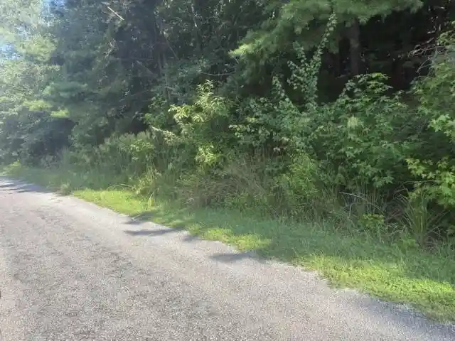 Photo 2 of Land for sale at Tract 5 Carroll Holw Rd, Waynesboro, TN 38485 | MLS# 10227530 | Listing updated on 2026-08-18
