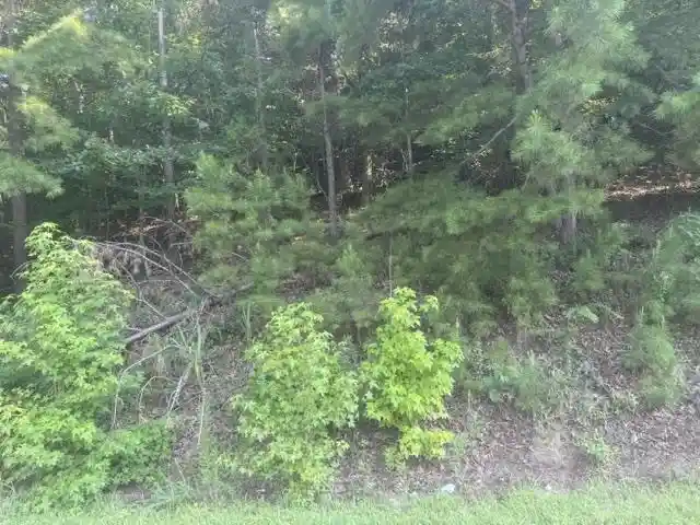 Photo 3 of Land for sale at Tract 5 Carroll Holw Rd, Waynesboro, TN 38485 | MLS# 10227530 | Listing updated on 2026-08-18