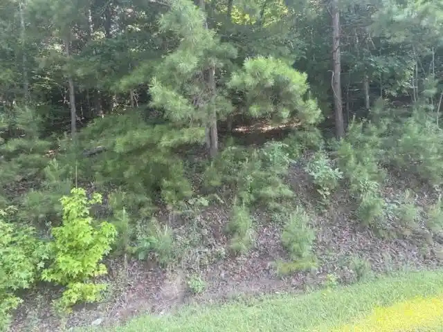 Photo 3 of Land for sale at Tract 5 Carroll Holw Rd, Waynesboro, TN 38485 | MLS# 10227530 | Listing updated on 2026-08-18