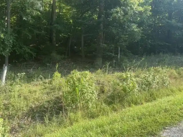 Photo 2 of Land for sale at Tract 6 Carroll Holw Rd, Waynesboro, TN 38485 | MLS# 10227531 | Listing updated on 2026-08-18