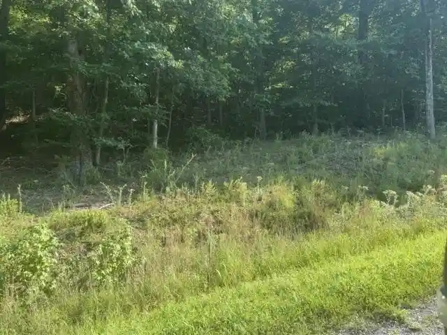 Photo 3 of Land for sale at Tract 6 Carroll Holw Rd, Waynesboro, TN 38485 | MLS# 10227531 | Listing updated on 2026-08-18