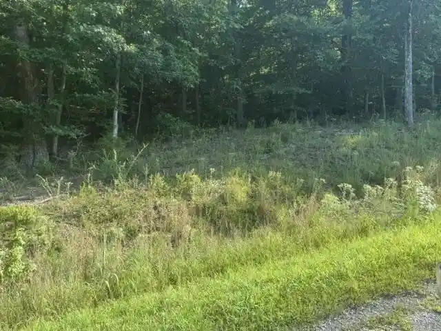Photo 3 of Land for sale at Tract 6 Carroll Holw Rd, Waynesboro, TN 38485 | MLS# 10227531 | Listing updated on 2026-08-18