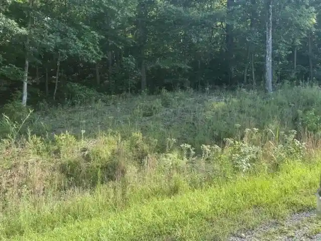 Photo 4 of Land for sale at Tract 6 Carroll Holw Rd, Waynesboro, TN 38485 | MLS# 10227531 | Listing updated on 2026-08-18