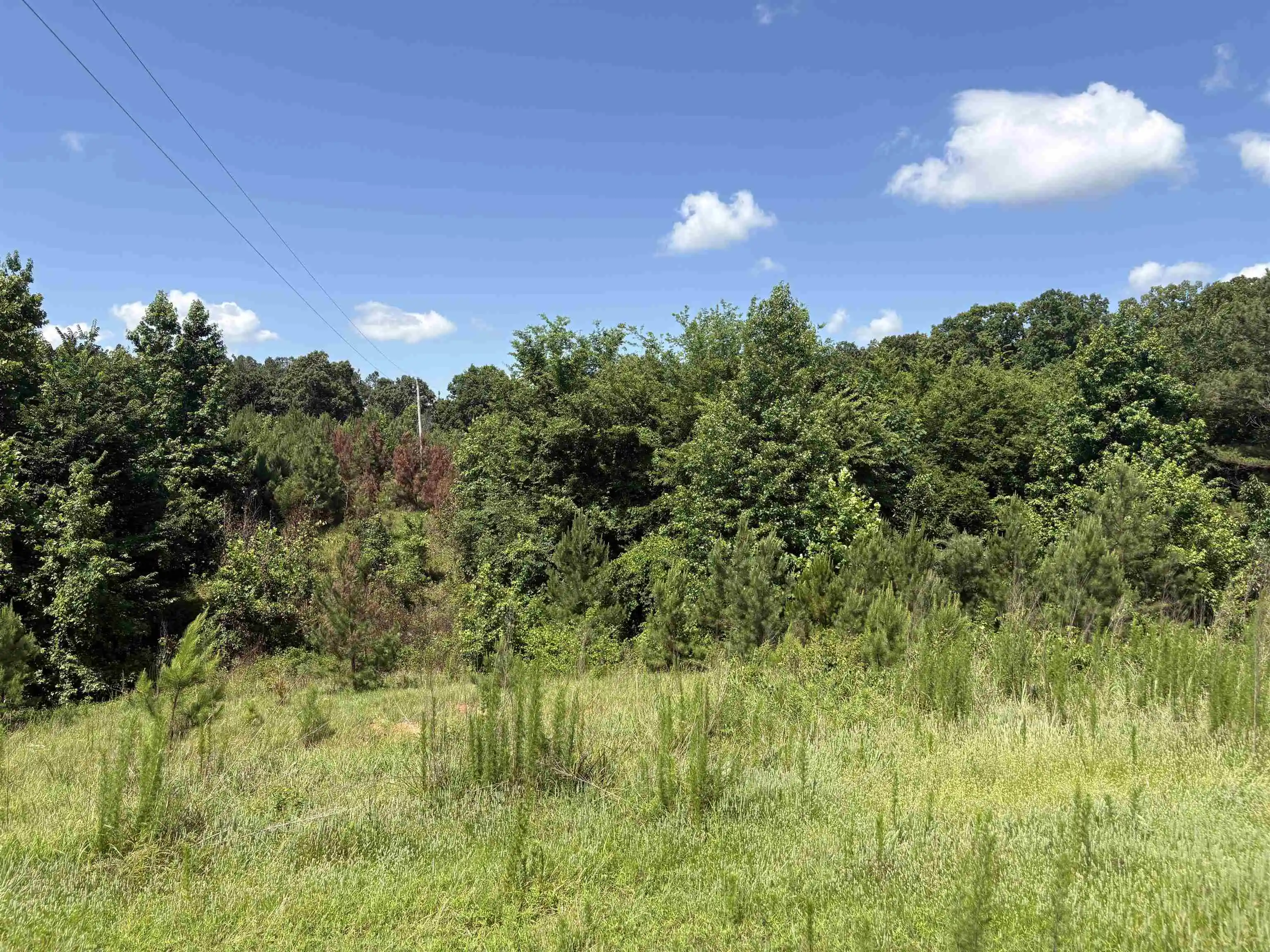2nd image of 0 Beauty Hill Rd #84.6, Bethel Springs, TN 38315 | MLS# 10227716