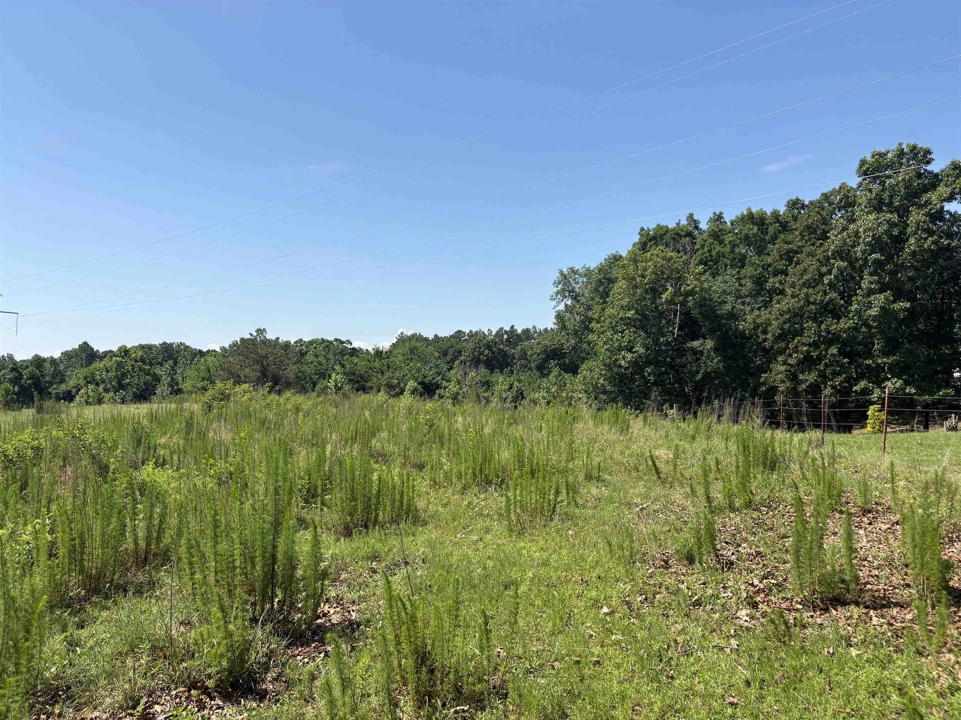 22nd image of 0 Beauty Hill Rd #84.6, Bethel Springs, TN 38315 | MLS# 10227716