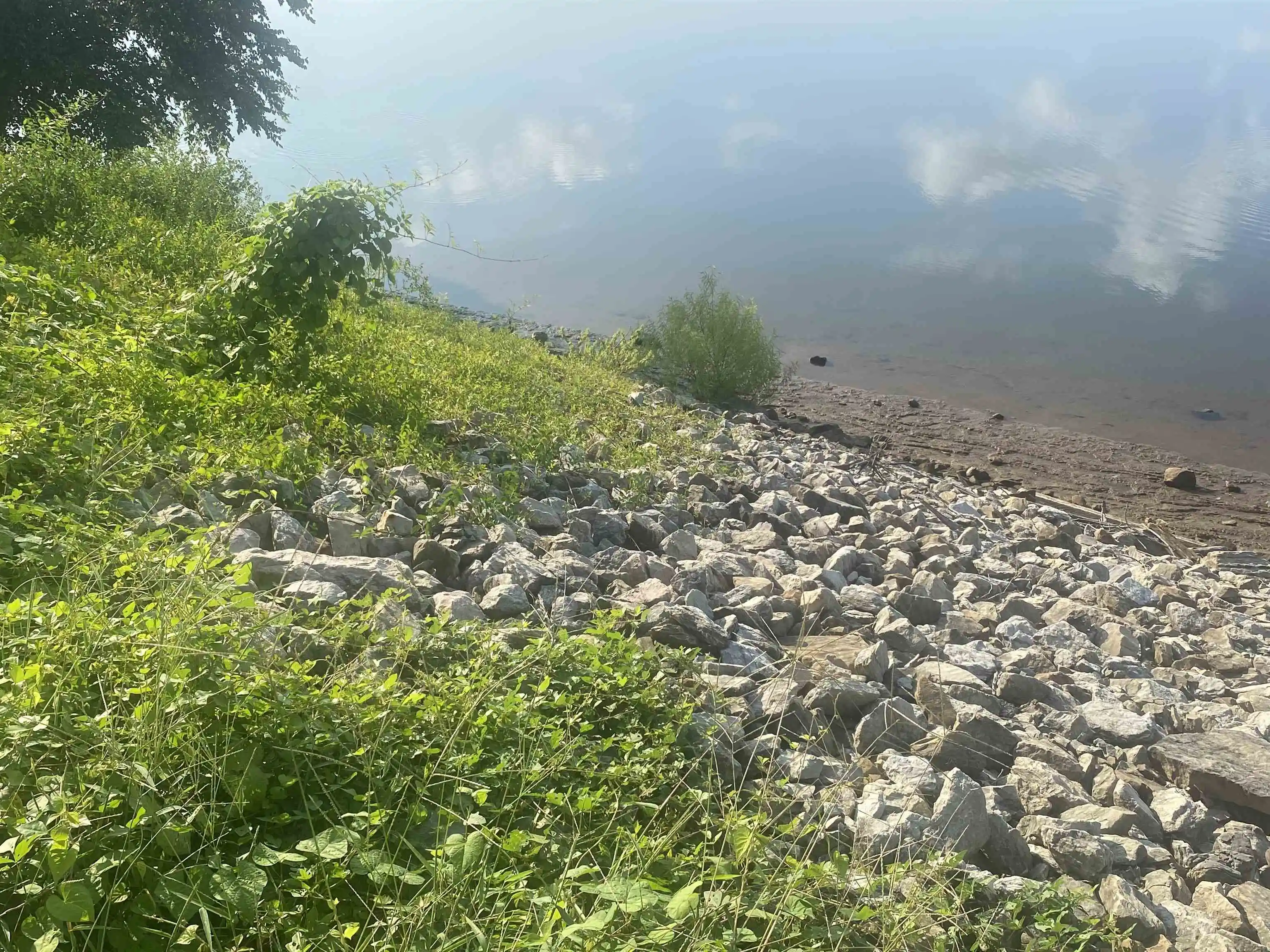 Photo 3 of Land for sale at 106 Sandy Ln, Crump, TN 38327 | MLS# 10227735 | Listing updated on 2026-09-08