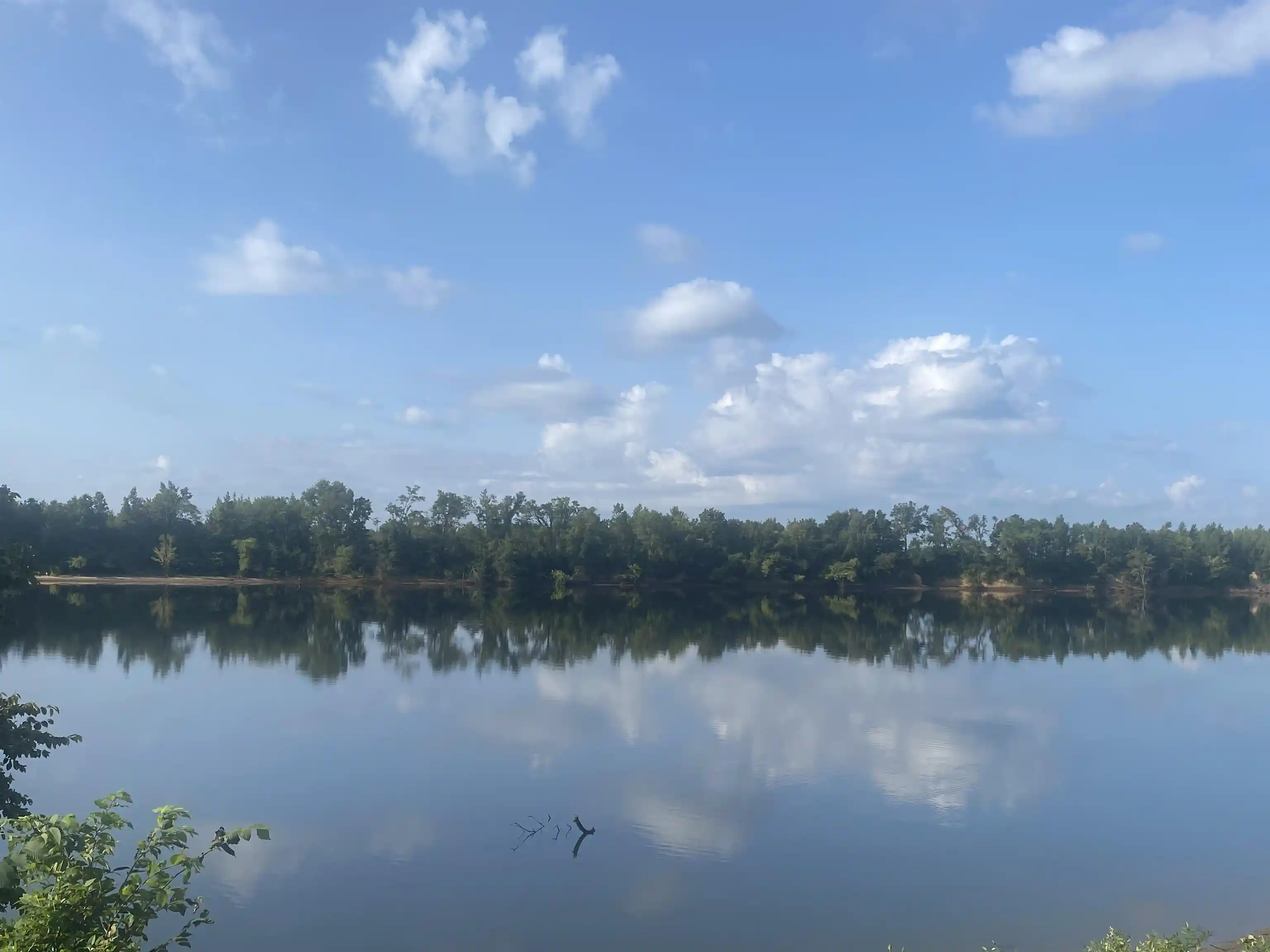Photo 4 of Land for sale at 106 Sandy Ln, Crump, TN 38327 | MLS# 10227735 | Listing updated on 2026-09-08