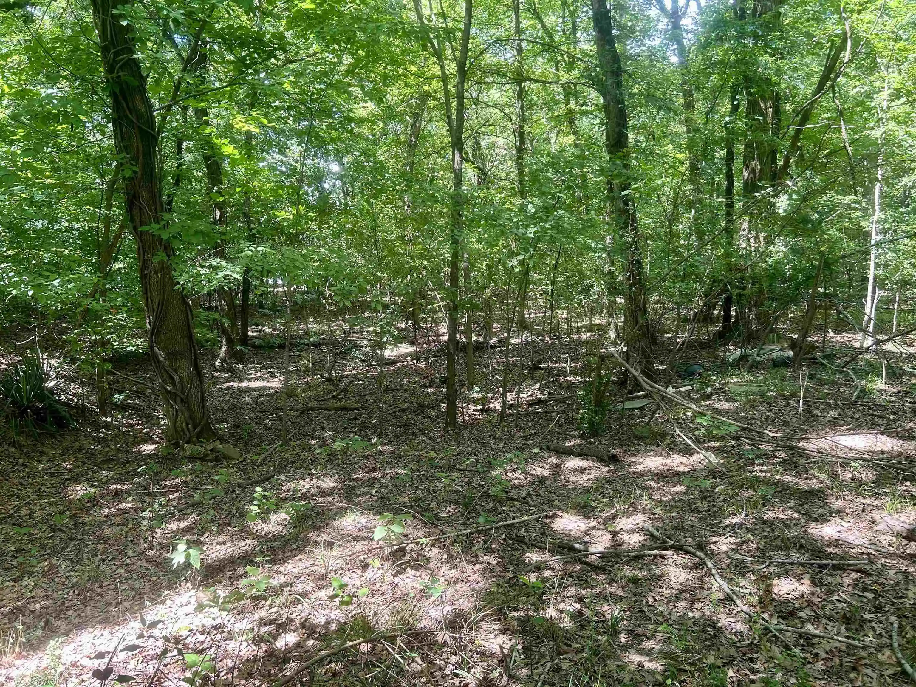 Photo 2 of Land for sale at 00 Lakehurst Dr, Memphis, TN 38128 | MLS# 10227758 | Listing updated on 2026-08-06