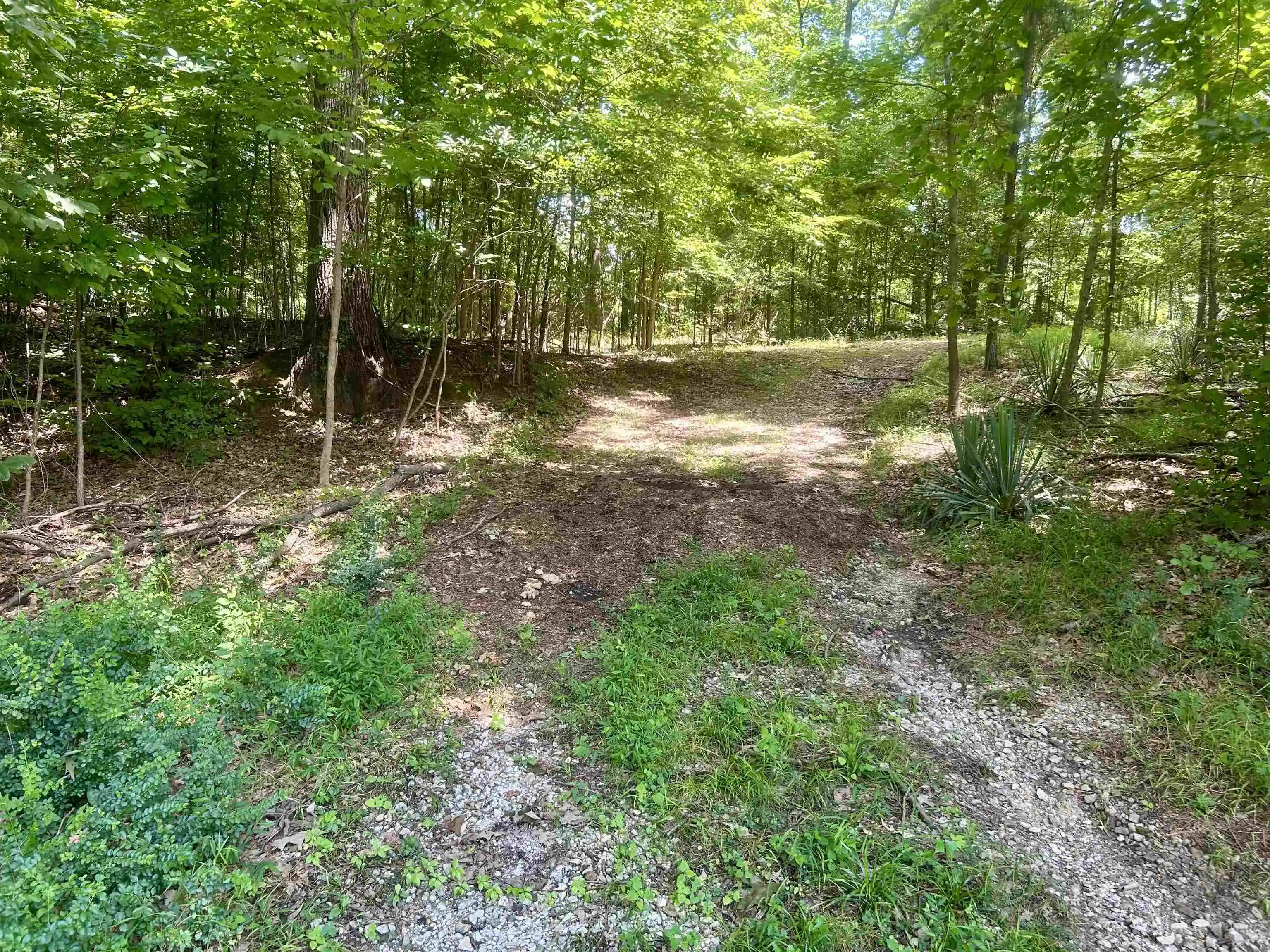 Photo 3 of Land for sale at 00 Lakehurst Dr, Memphis, TN 38128 | MLS# 10227758 | Listing updated on 2026-08-06