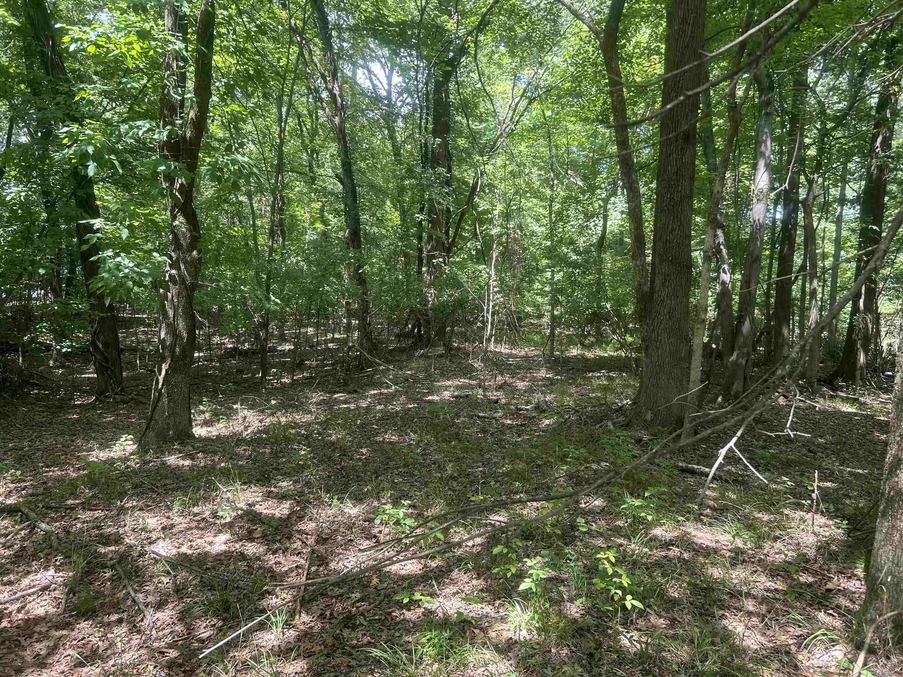 Photo 3 of Land for sale at 00 Lakehurst Dr, Memphis, TN 38128 | MLS# 10227758 | Listing updated on 2026-08-06
