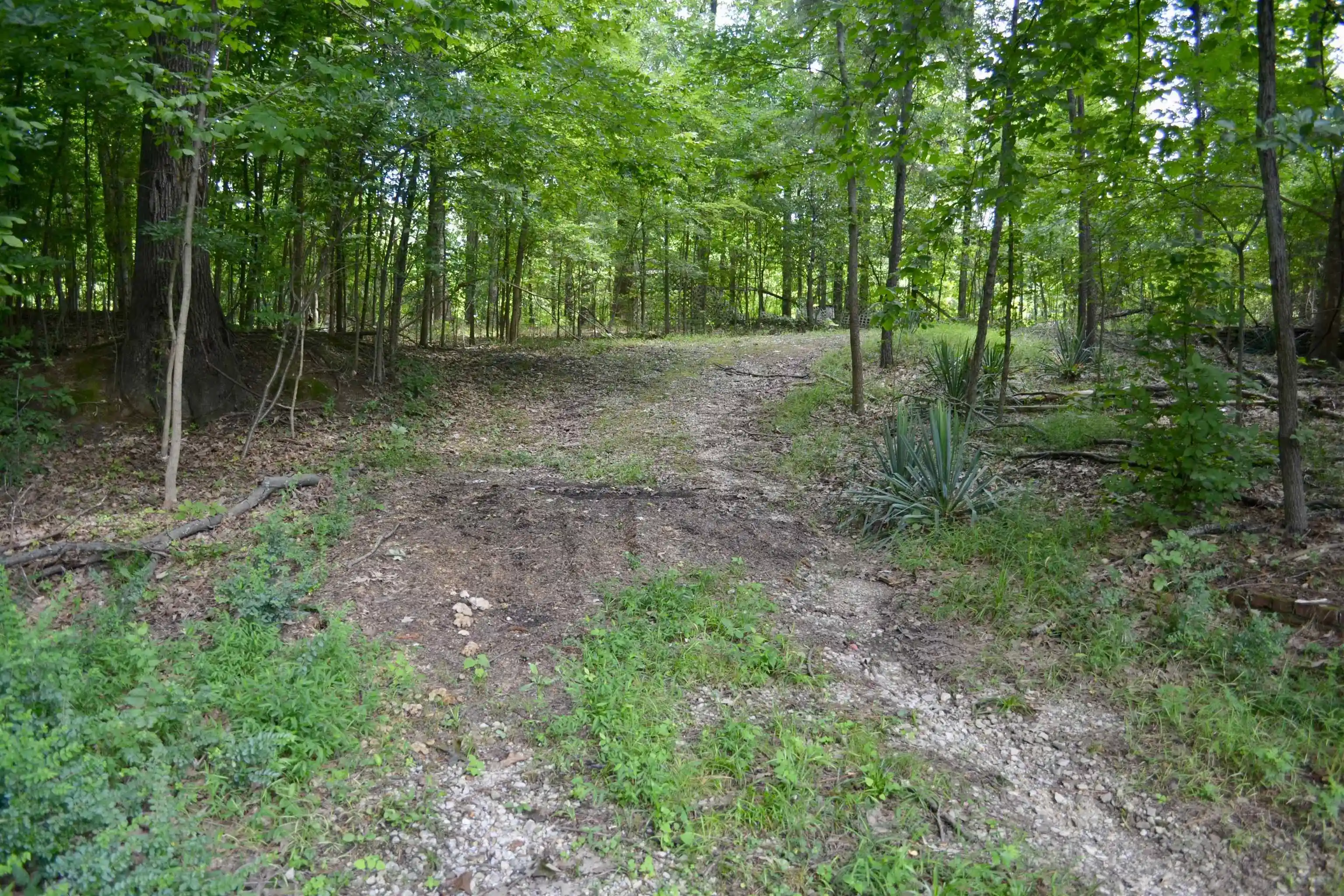Photo 4 of Land for sale at 00 Lakehurst Dr, Memphis, TN 38128 | MLS# 10227758 | Listing updated on 2026-08-06