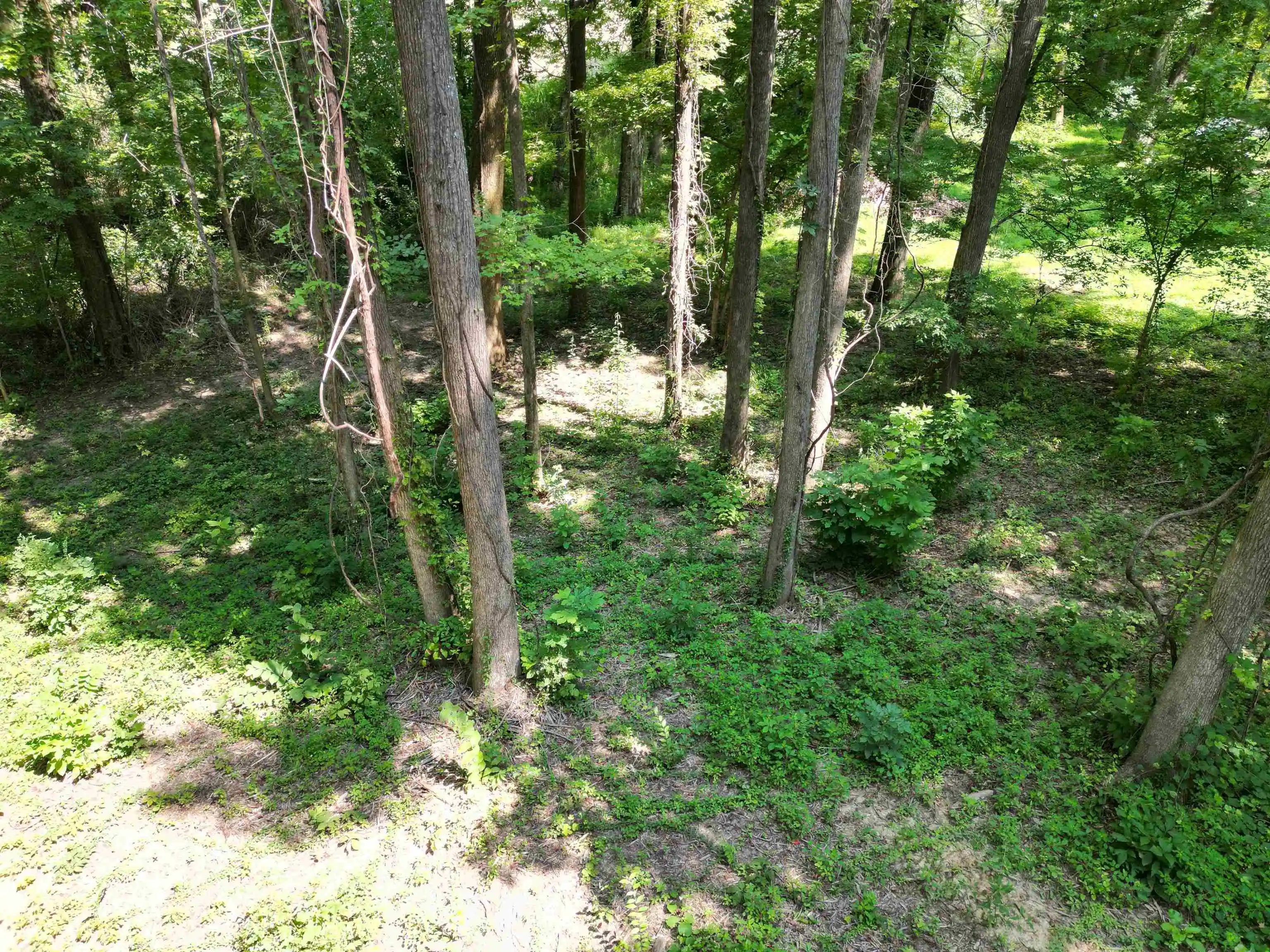 2nd image of 0 Harmon Cv, Brighton, TN 38011 | MLS# 10227762