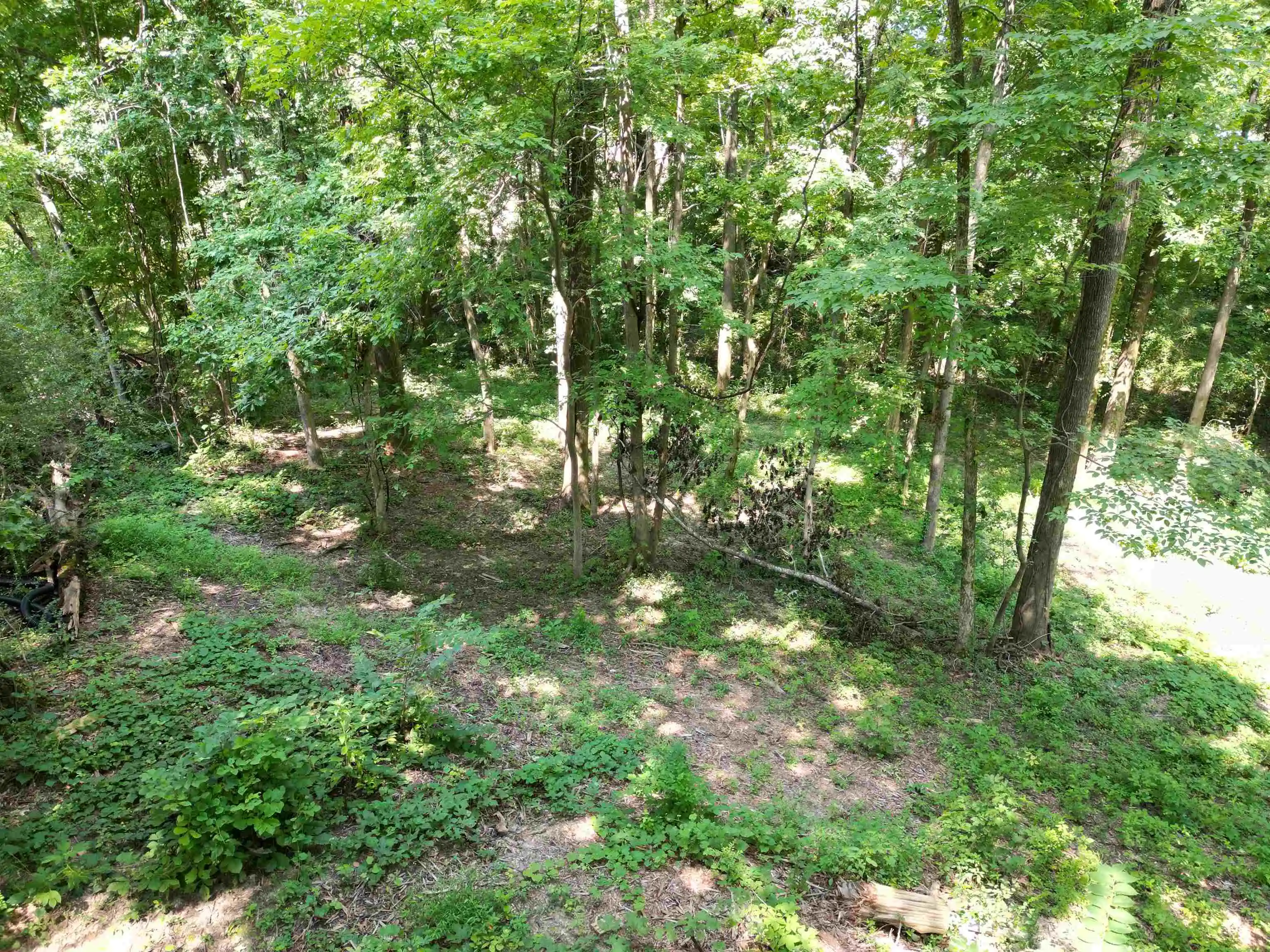 3rd image of 0 Harmon Cv, Brighton, TN 38011 | MLS# 10227762