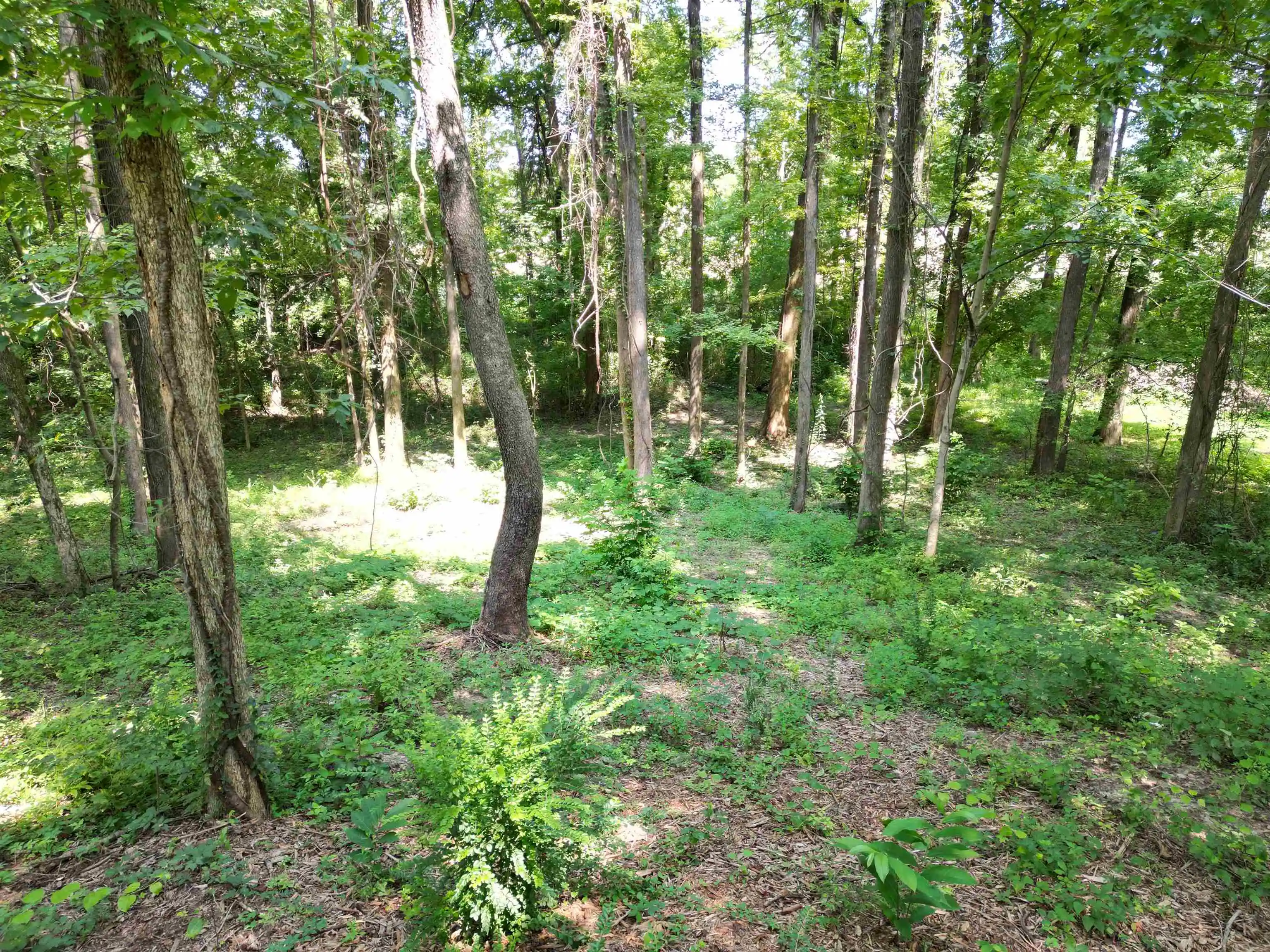 4th image of 0 Harmon Cv, Brighton, TN 38011 | MLS# 10227762