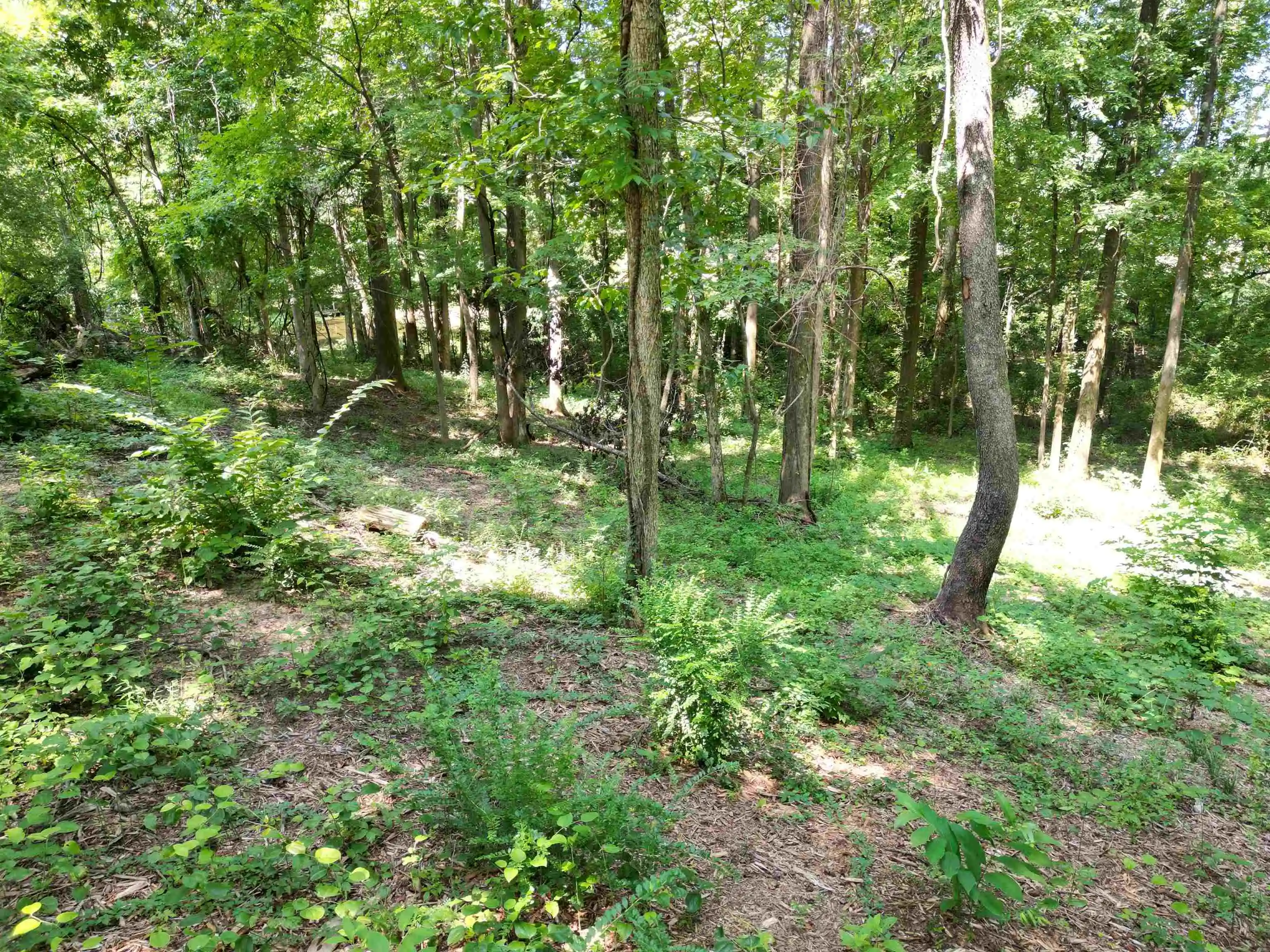 5th image of 0 Harmon Cv, Brighton, TN 38011 | MLS# 10227762