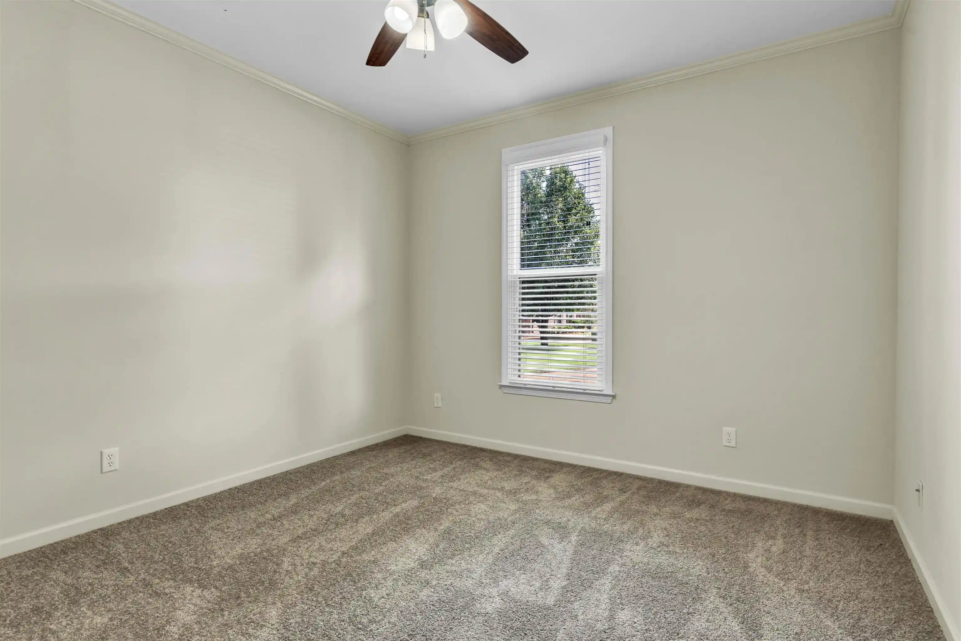 Photo 2 of Single family home for sale at 246 Spacious Sky Cv, Collierville, TN 38017 | MLS# 10227763 | Listing updated on 2026-08-06