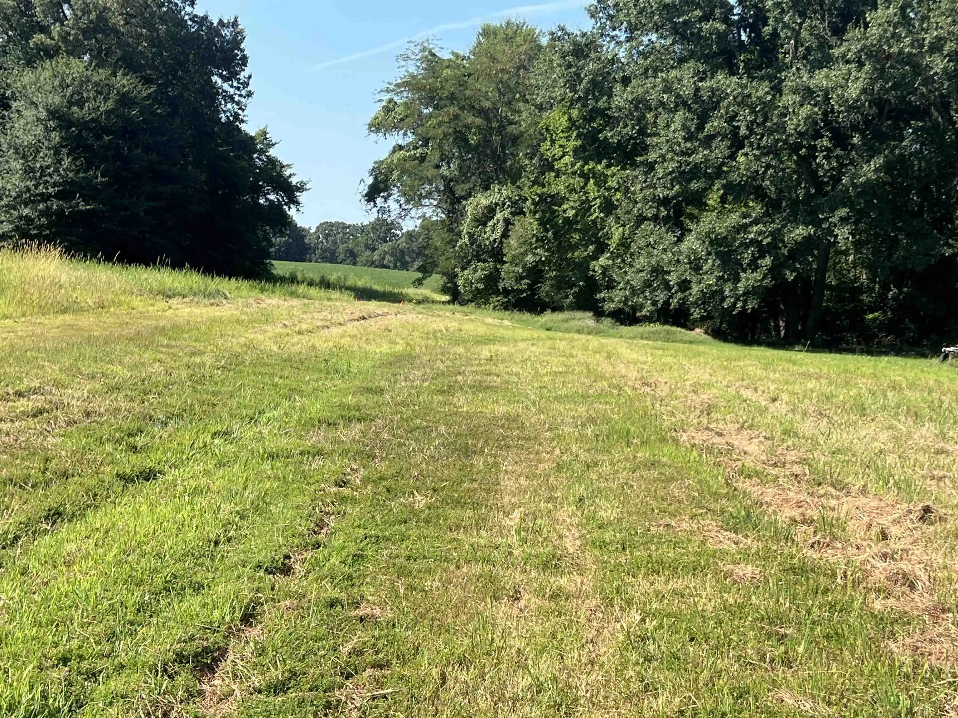 3rd image of 9210 Pleasant Ridge Rd, Arlington, TN 38002 | MLS# 10227770