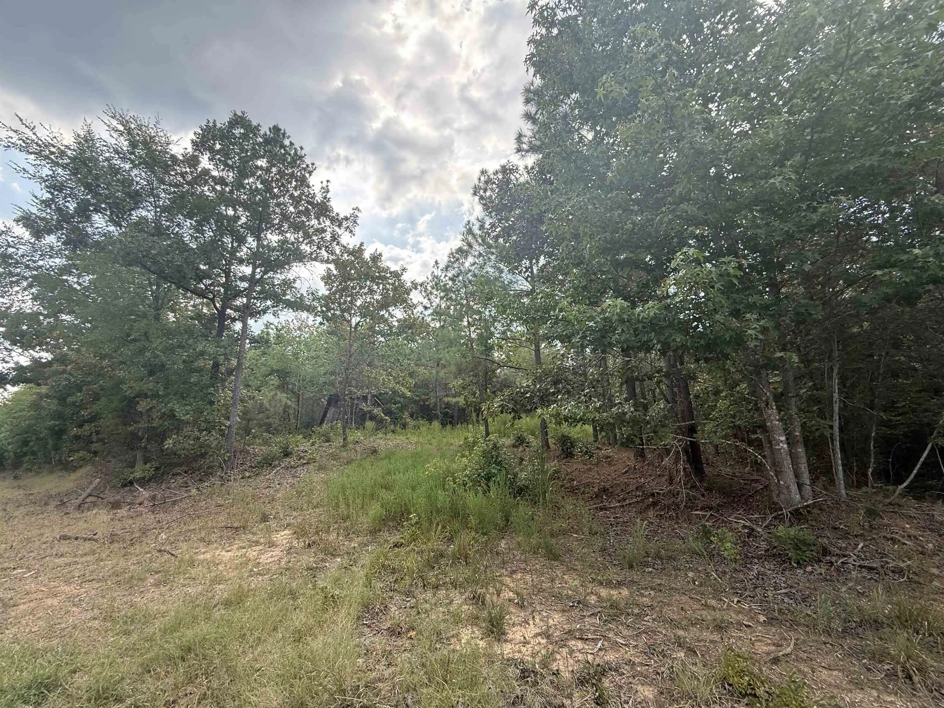 1st image of Rose Creek Rd, Selmer, TN 38375 | MLS# 10227852