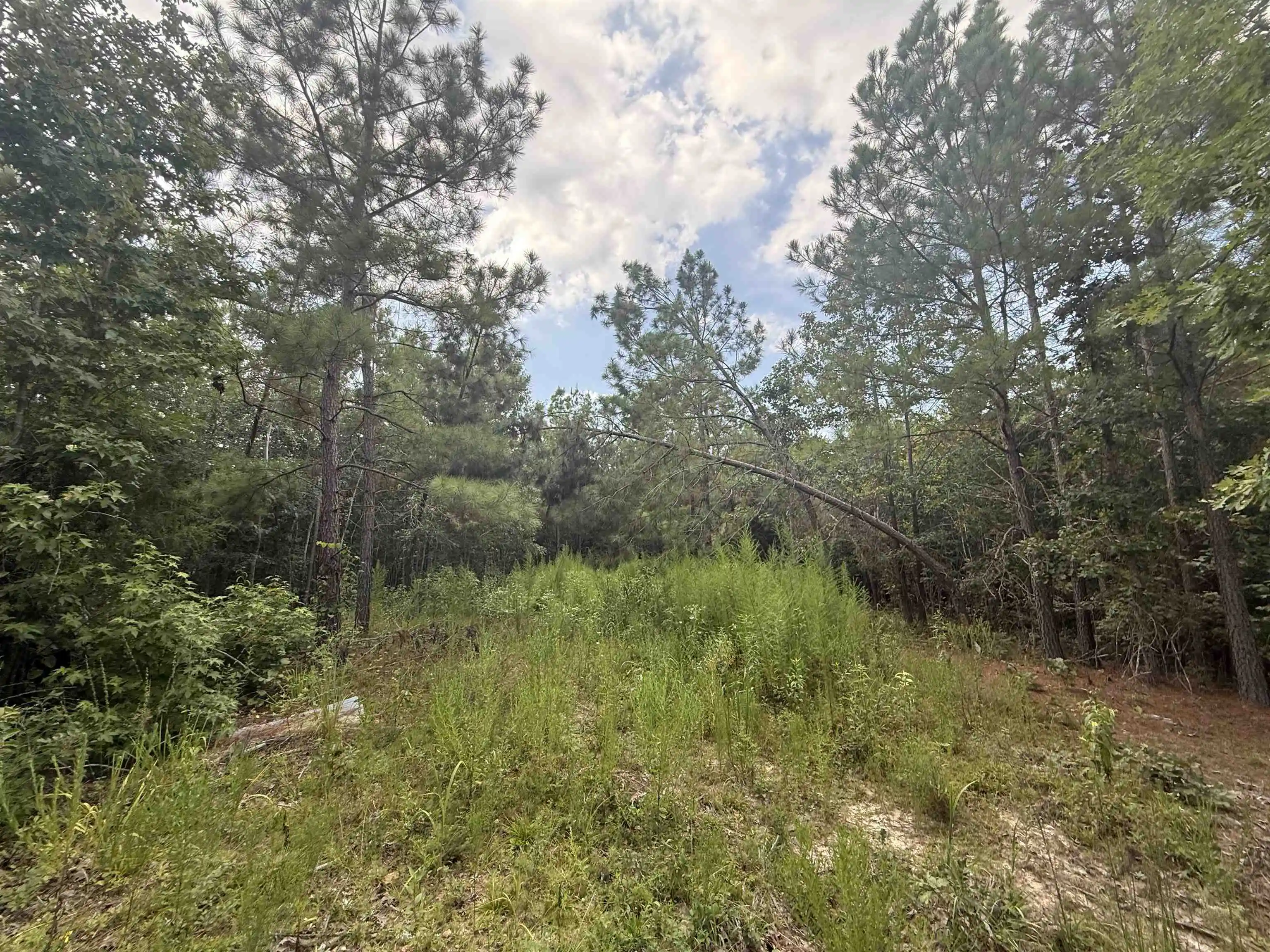 2nd image of Rose Creek Rd, Selmer, TN 38375 | MLS# 10227852