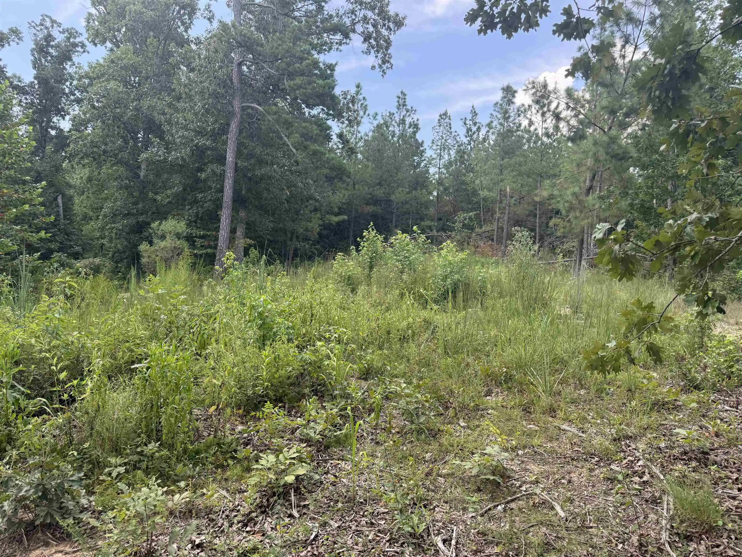 3rd image of Rose Creek Rd, Selmer, TN 38375 | MLS# 10227852