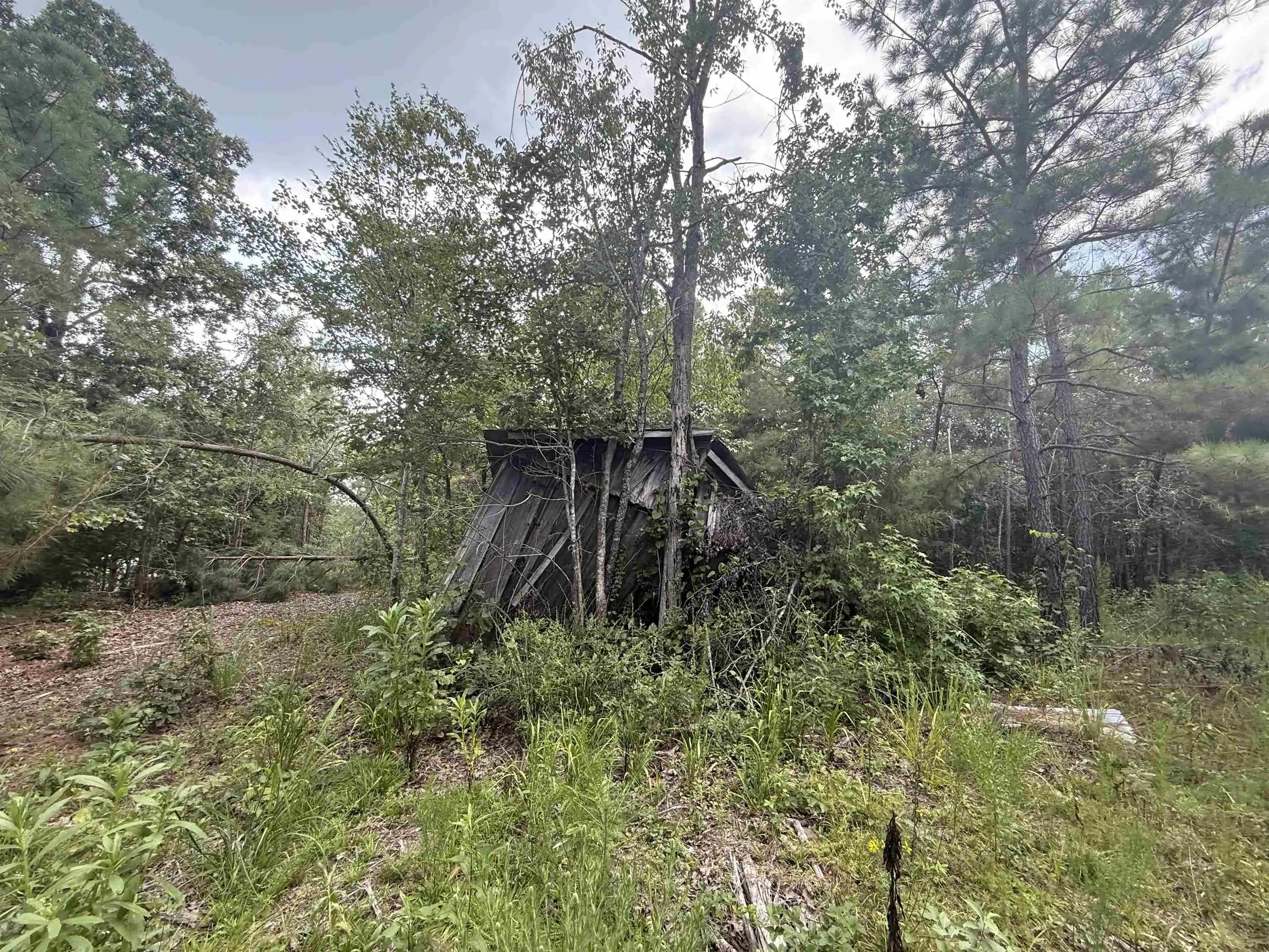 4th image of Rose Creek Rd, Selmer, TN 38375 | MLS# 10227852