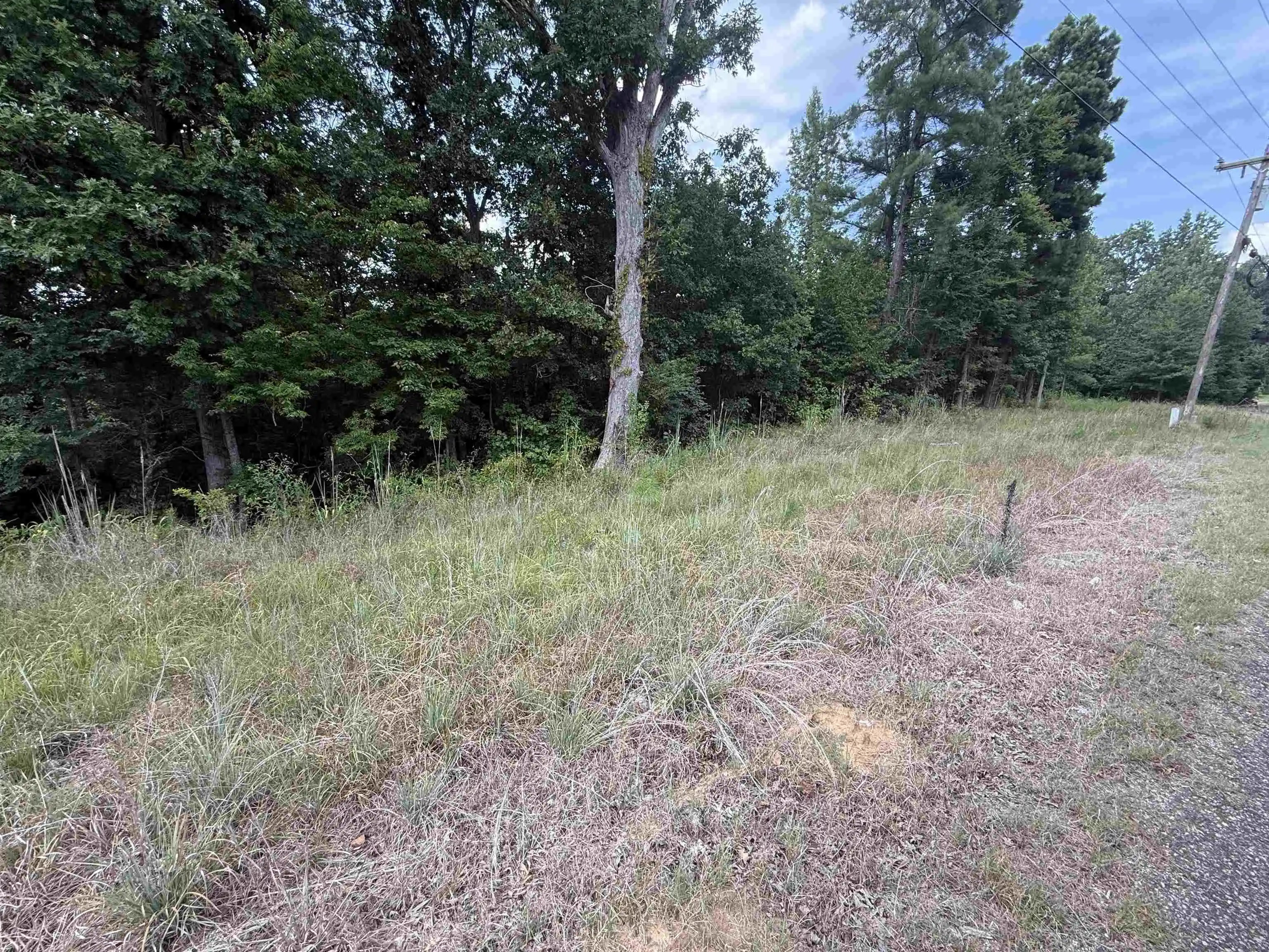 5th image of Rose Creek Rd, Selmer, TN 38375 | MLS# 10227852