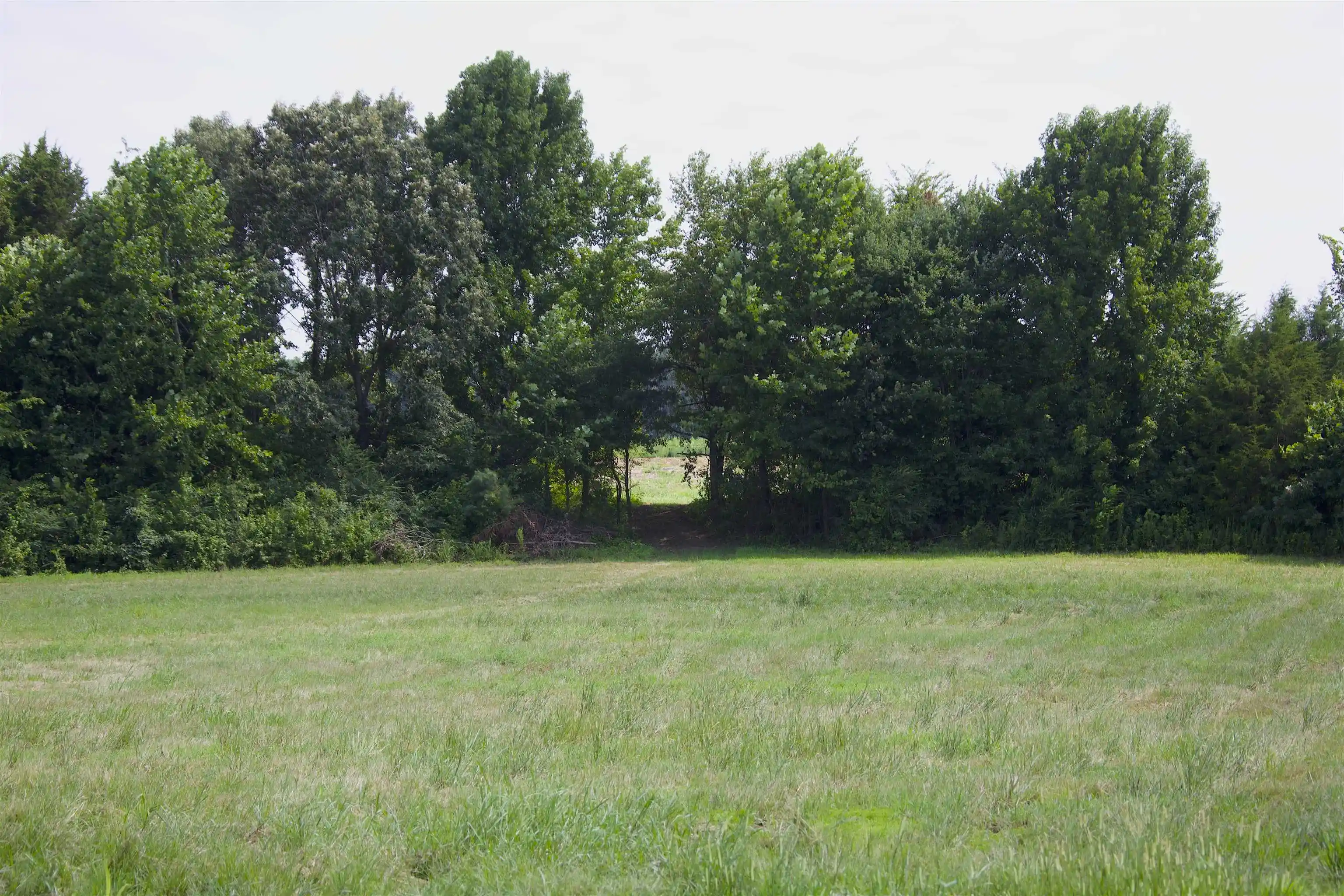 2nd image of 350 Richardson Rd, Grand Junction, TN 38039 | MLS# 10227876