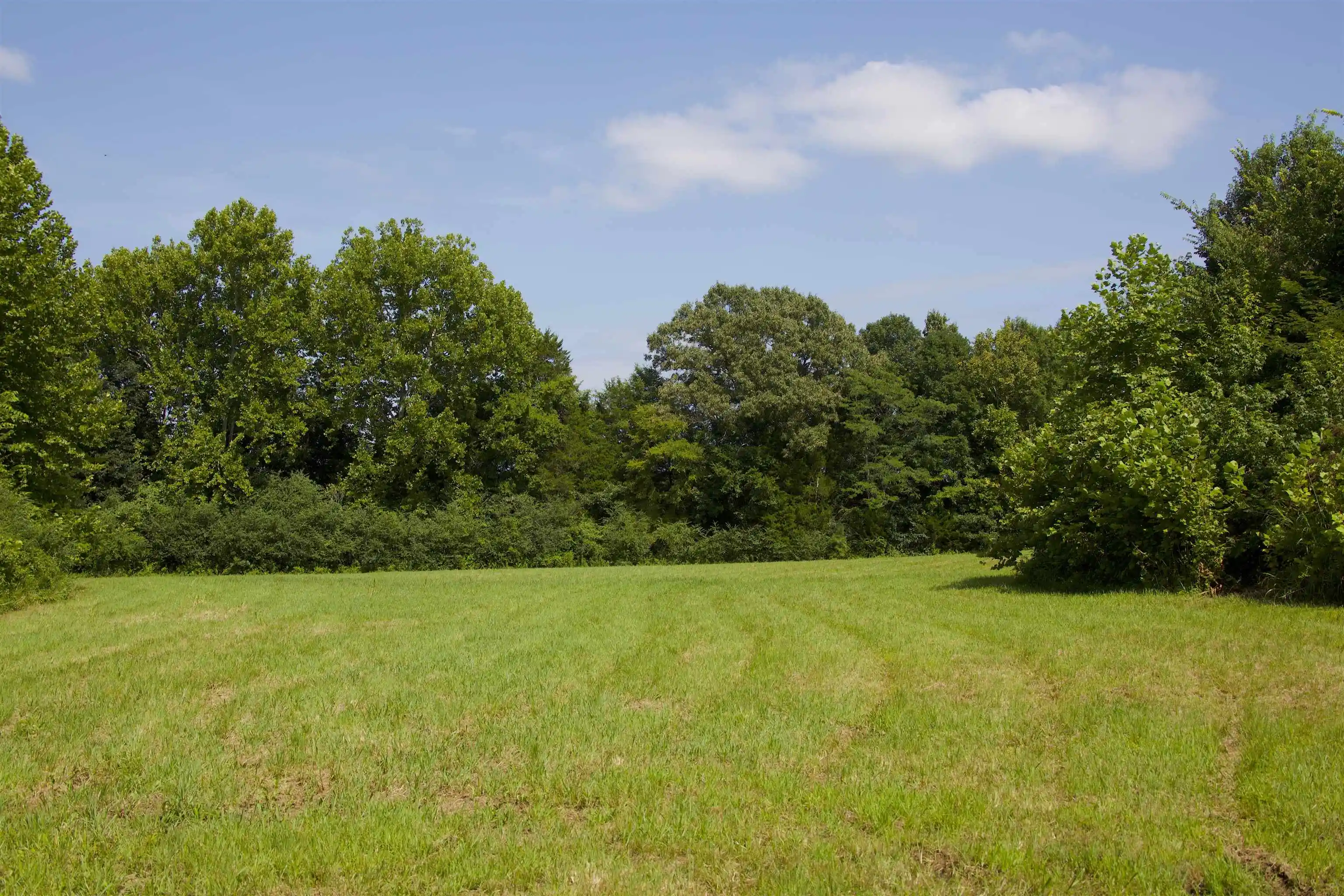 4th image of 350 Richardson Rd, Grand Junction, TN 38039 | MLS# 10227876