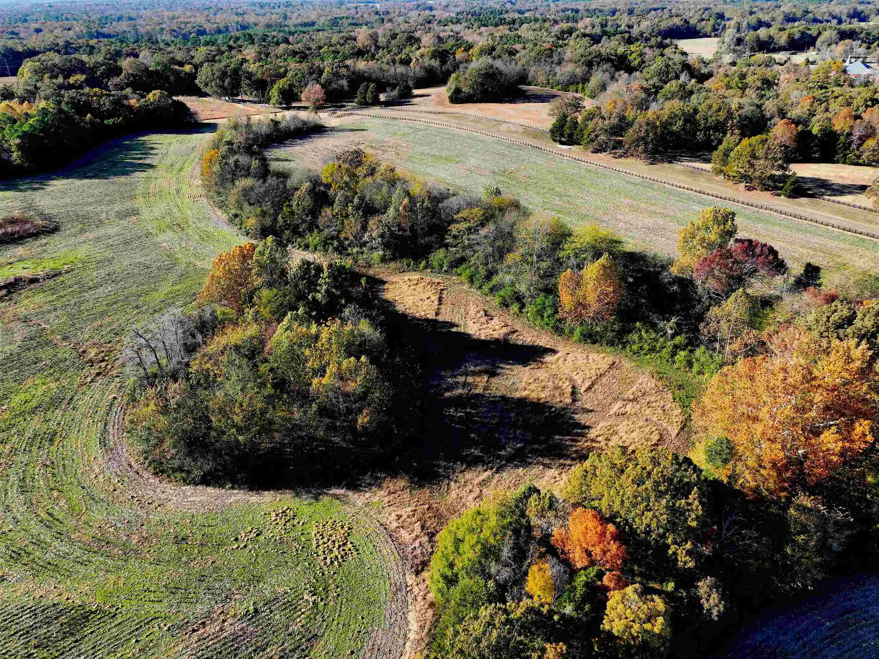 5th image of 350 Richardson Rd, Grand Junction, TN 38039 | MLS# 10227876