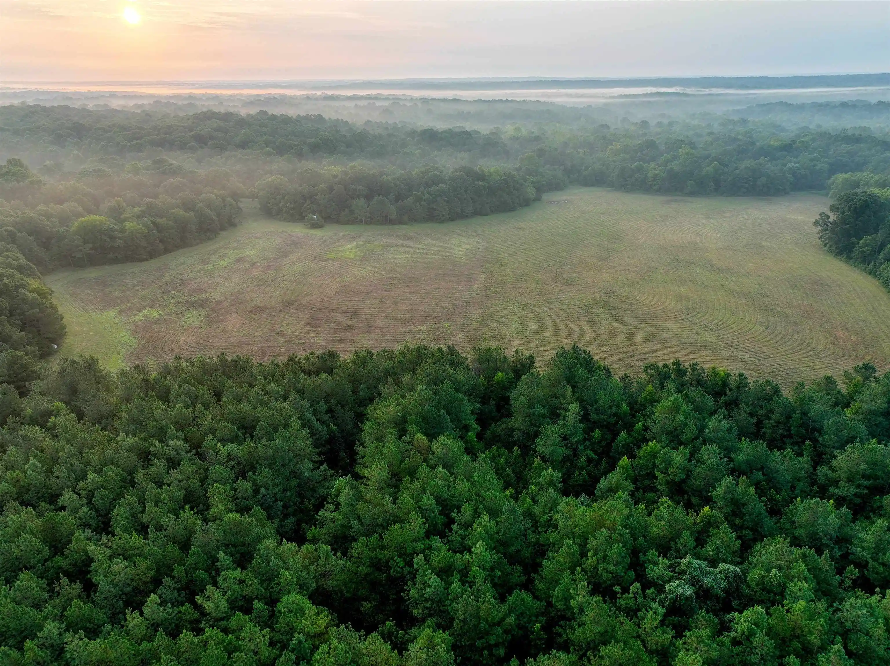 5th image of 2530 West Fork Rd, Grand Junction, TN 38039 | MLS# 10227923