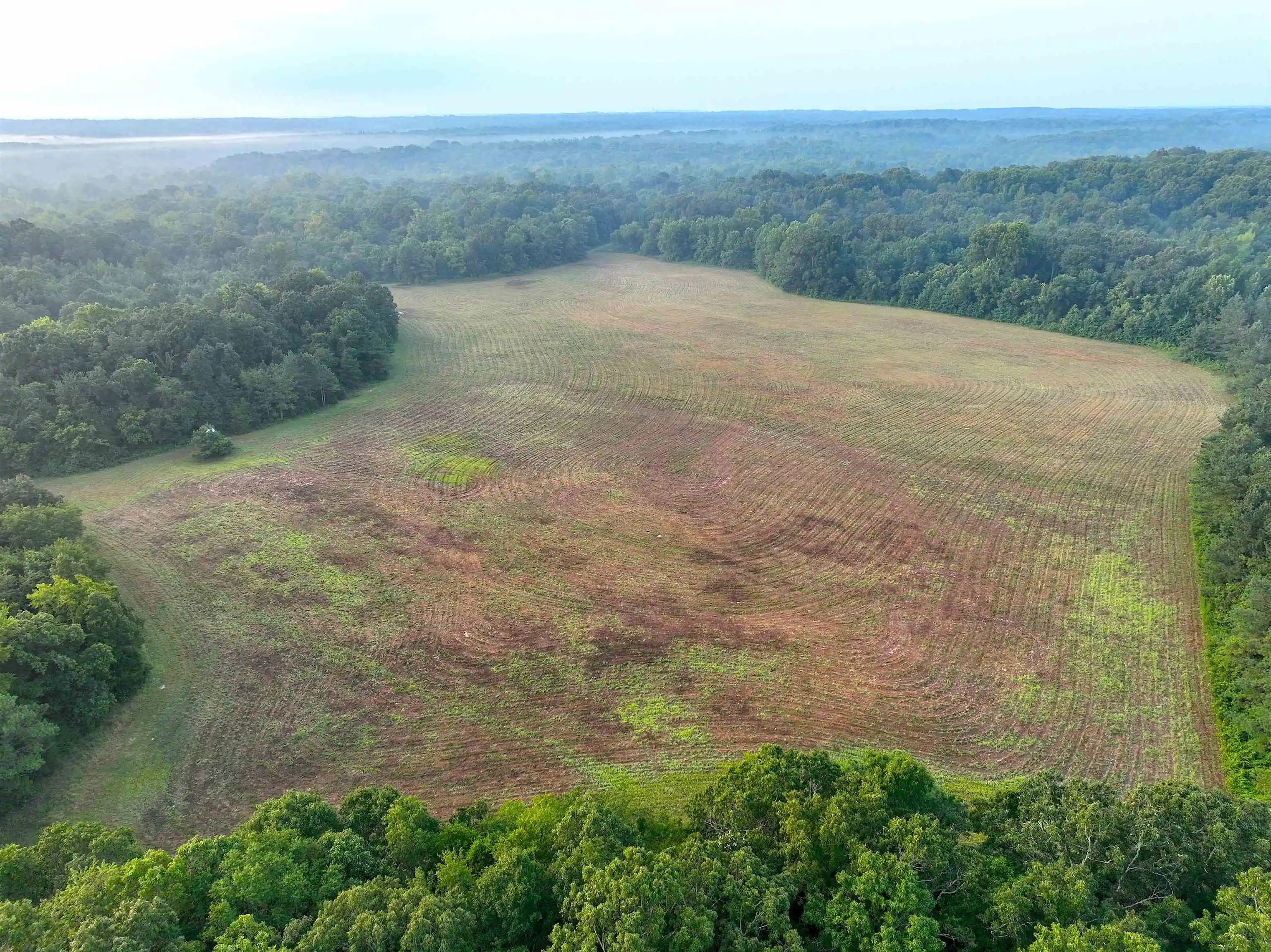 40th image of 2530 West Fork Rd, Grand Junction, TN 38039 | MLS# 10227923