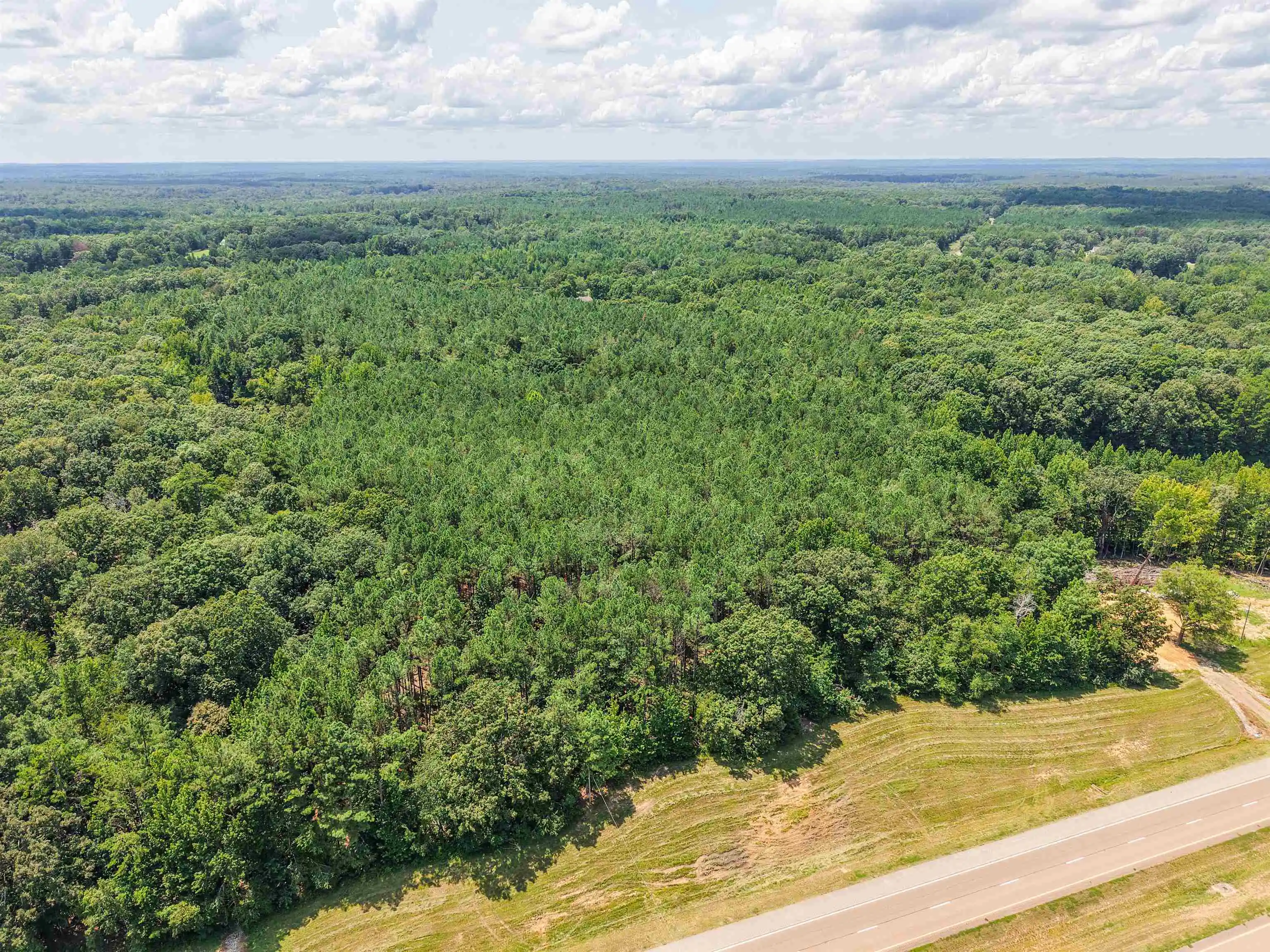 Photo 3 of Land for sale at 5988 N 45 Highway, Bethel Springs, TN 38315 | MLS# 10227968 | Listing updated on 2026-09-18