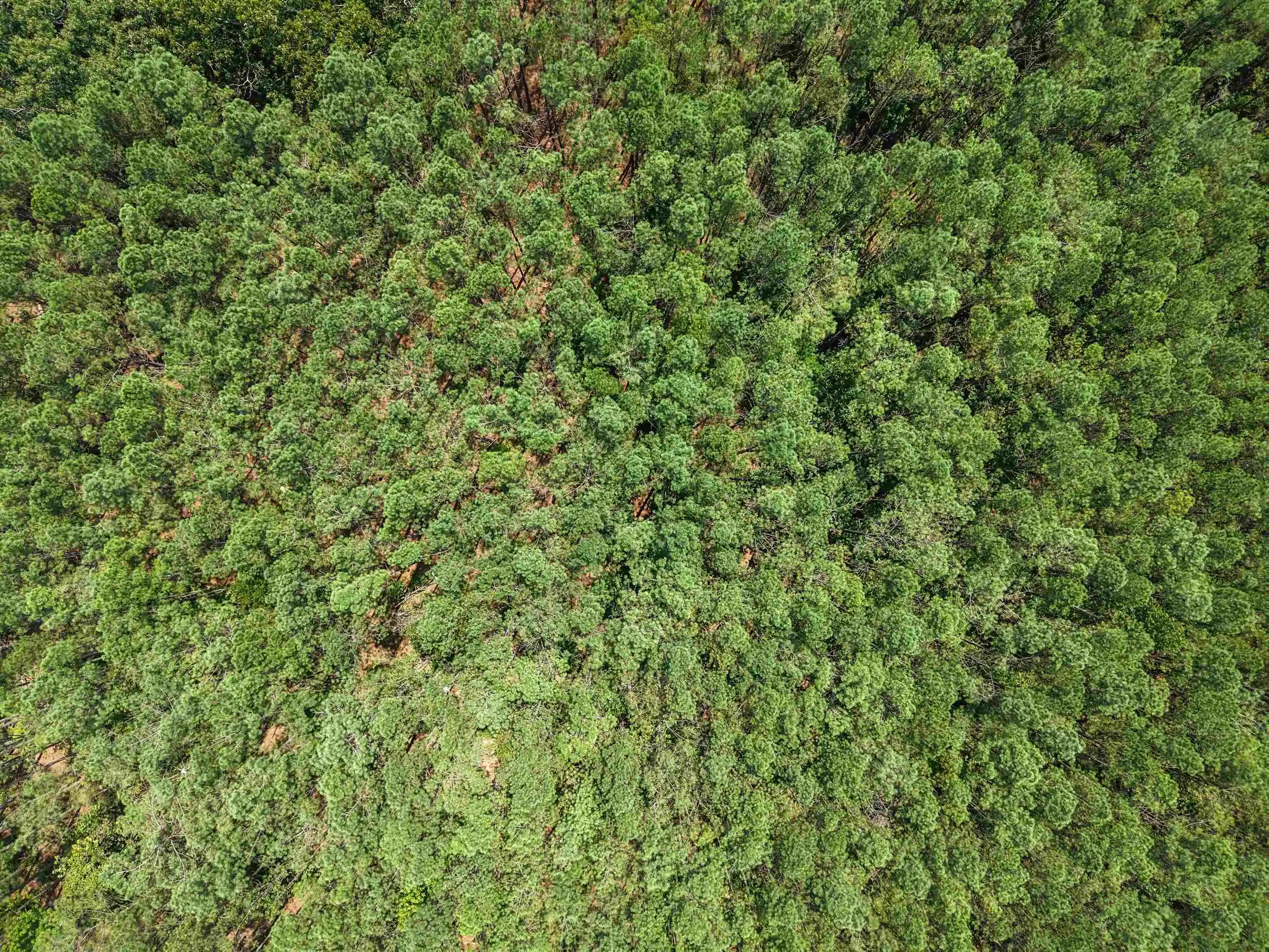 Photo 4 of Land for sale at 5988 N 45 Highway, Bethel Springs, TN 38315 | MLS# 10227968 | Listing updated on 2026-09-18