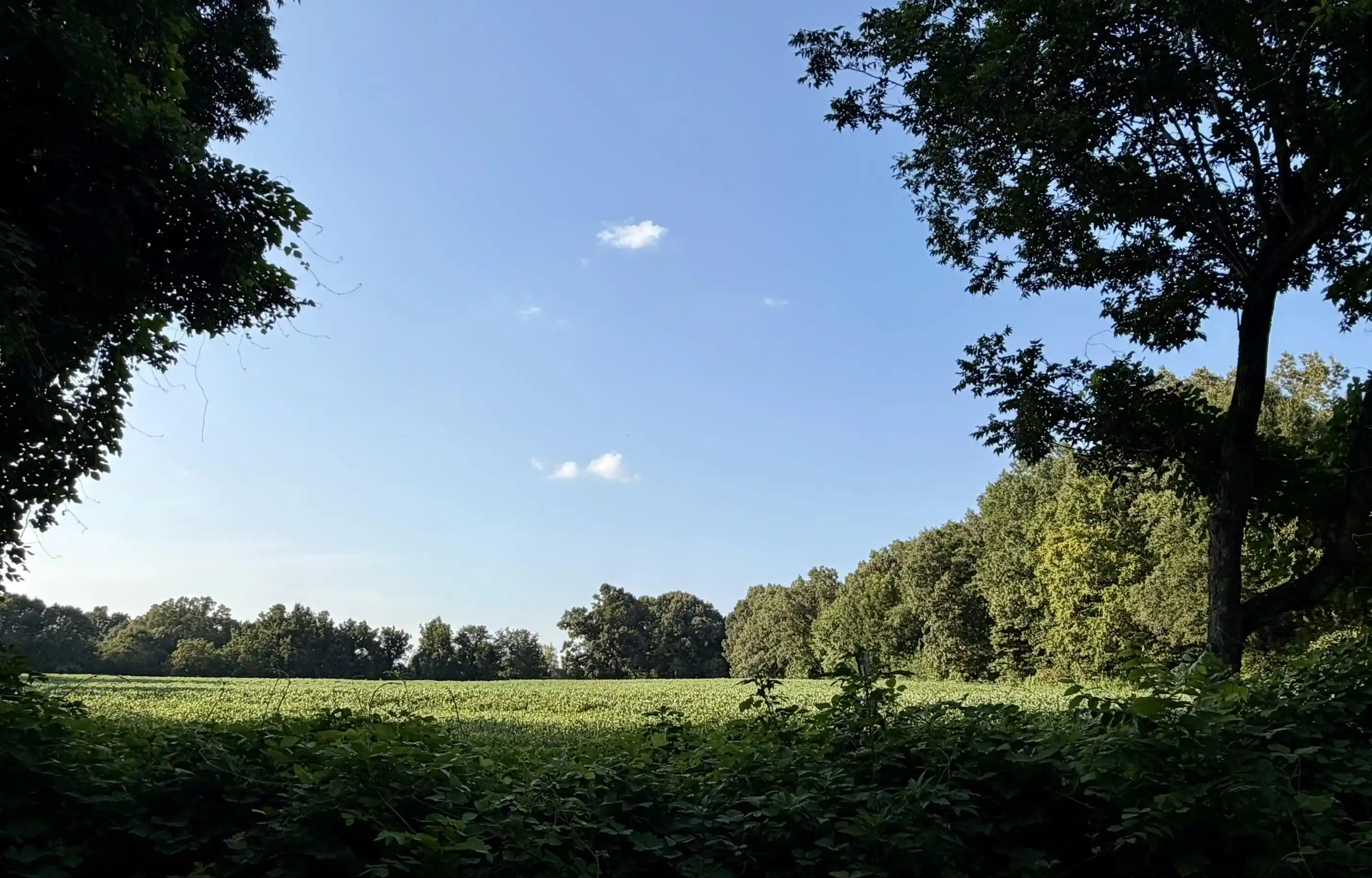 2nd image of 00 Thorpe Dr, Mason, TN 38049 | MLS# 10228012