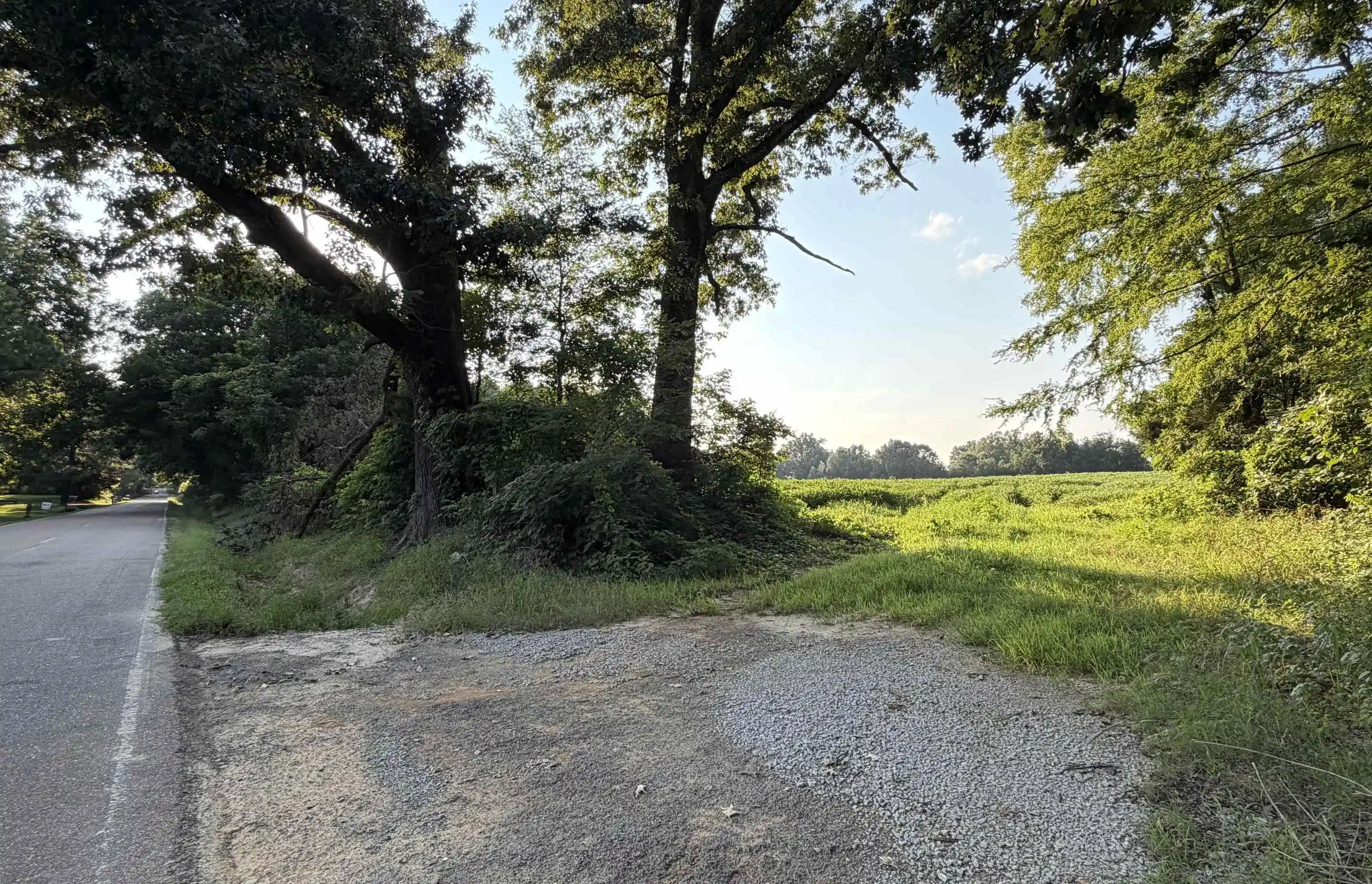 3rd image of 00 Thorpe Dr, Mason, TN 38049 | MLS# 10228012