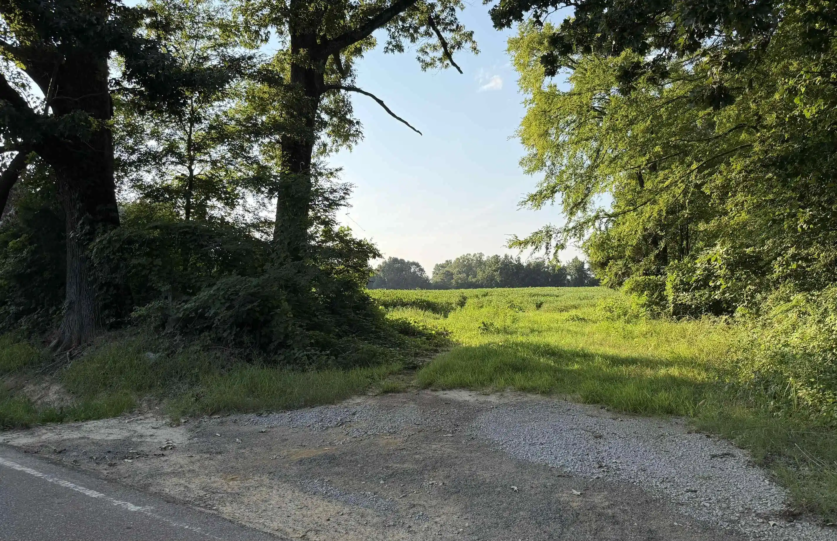 4th image of 00 Thorpe Dr, Mason, TN 38049 | MLS# 10228012