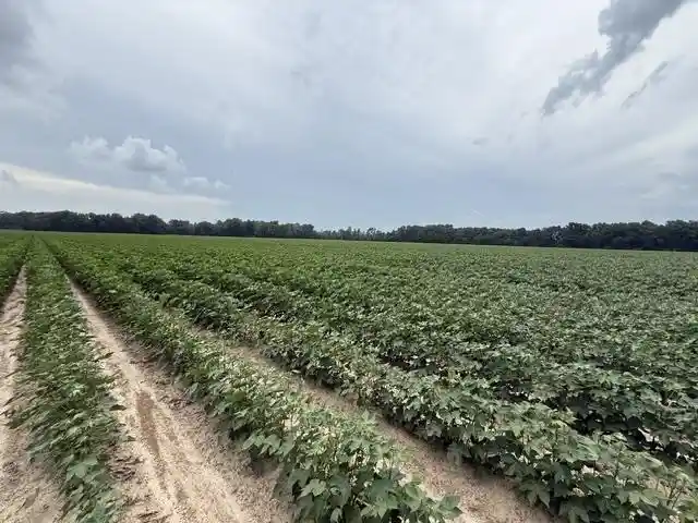 1st image of 0 Hwy 14 Hwy, Millington, TN 38053 | MLS# 10228022
