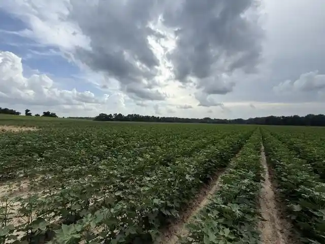 4th image of 0 Hwy 14 Hwy, Millington, TN 38053 | MLS# 10228022