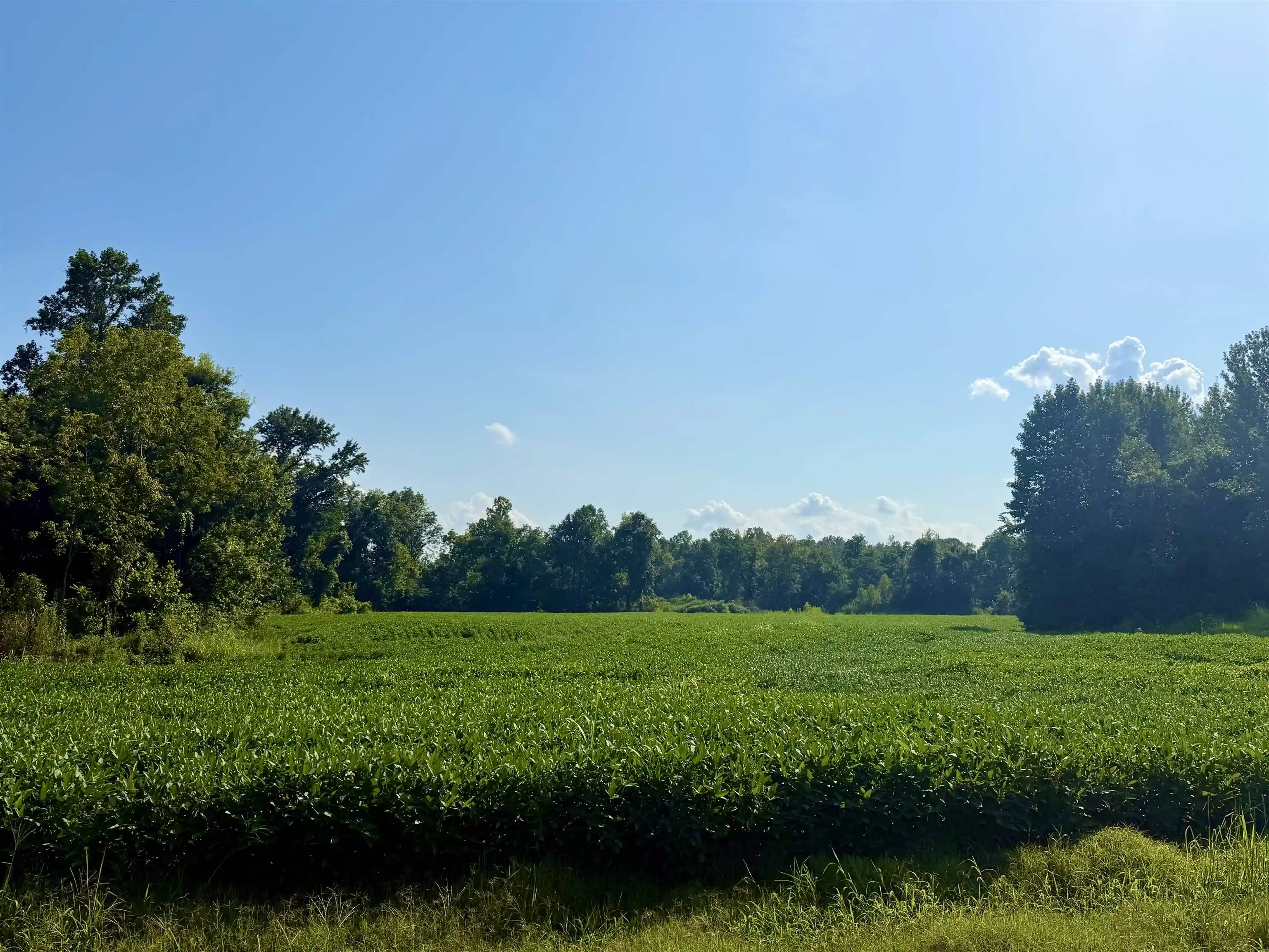 1st image of 0 Adkins Rd, Burlison, TN 38015 | MLS# 10228026